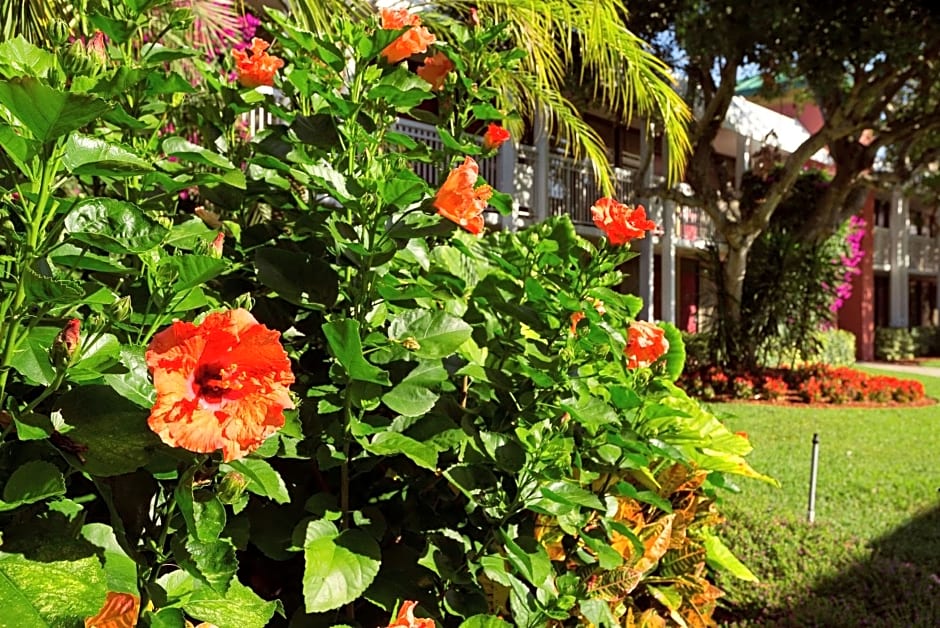 Ramada Naples Fl – Naples, FL