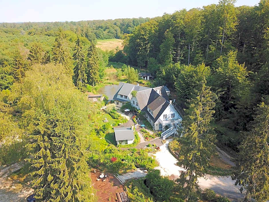 Le jardin de Saint Jean