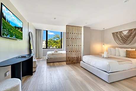 Deluxe Two Double Queen Room Park View