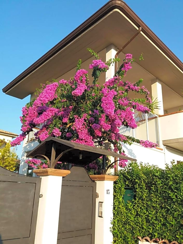 B&B La Bouganville Di Sante E Rosa