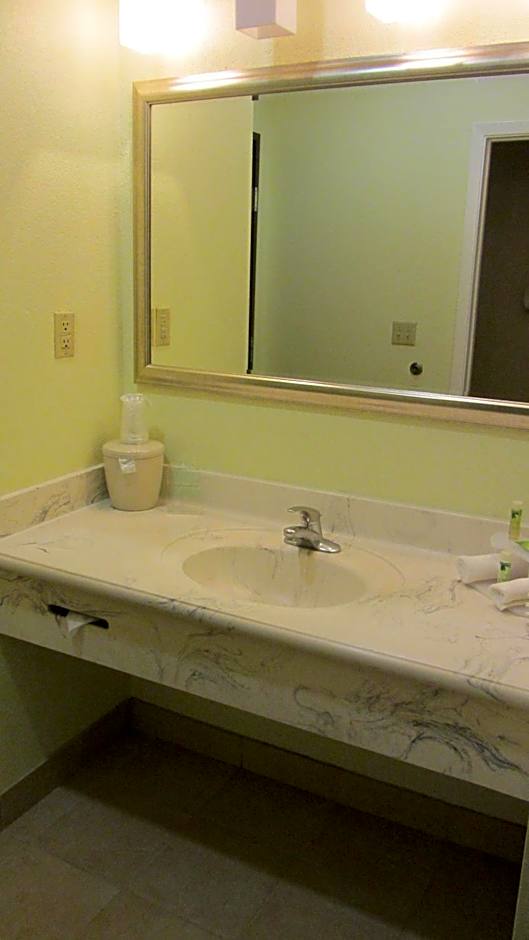 Holiday Inn Express Hotel & Suites Houston North Intercontinental By IHG