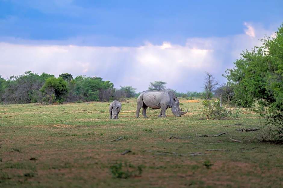 Sediba Luxury Safari Lodge