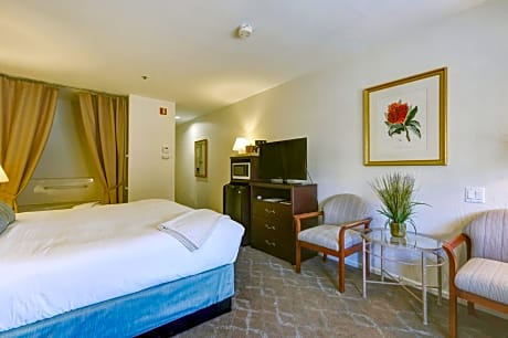 Superior King Accessible Room (No Pets Allowed)