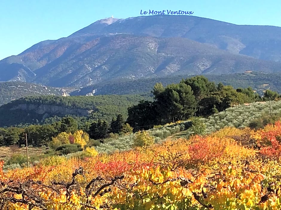 Le Nid au Pied du Mont Ventoux