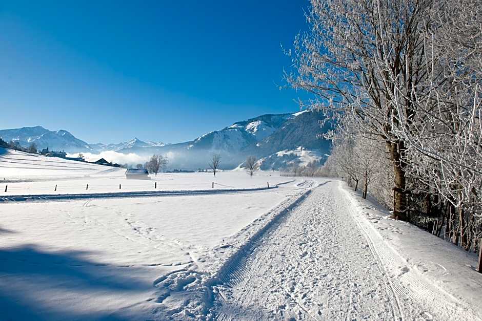 Chaletdorf ZellerSee
