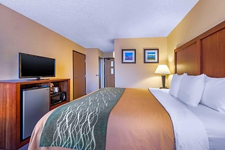 1 King Bed, Nonsmoking