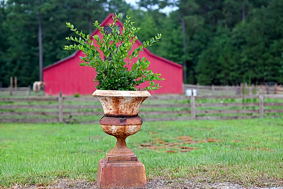 Coulter Farmstead