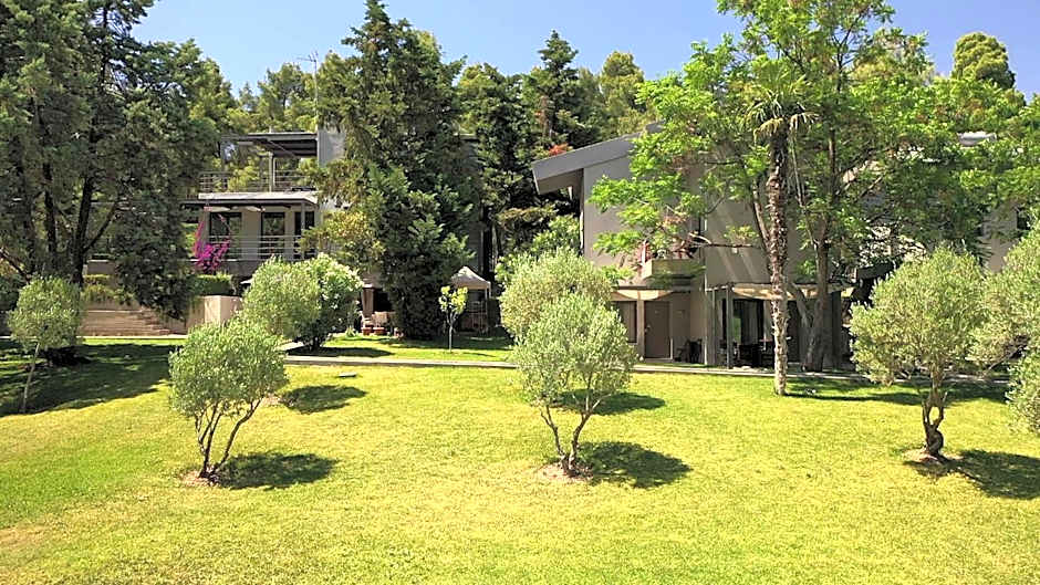 Sani More & Sani Woods