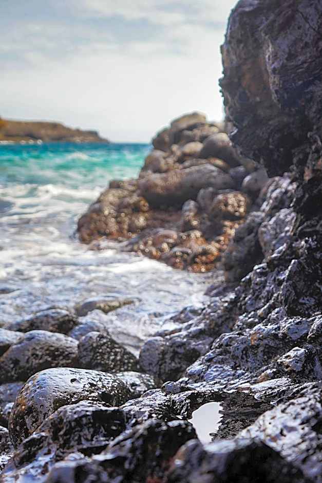 Single Fin Surf Hostel