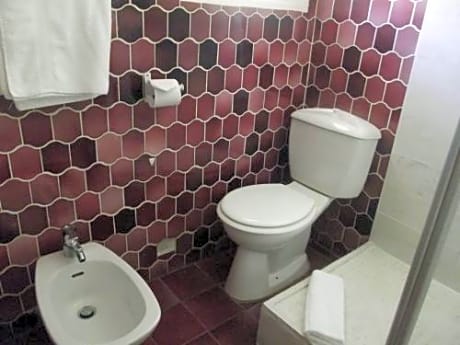 Standard Double Room with Terrace