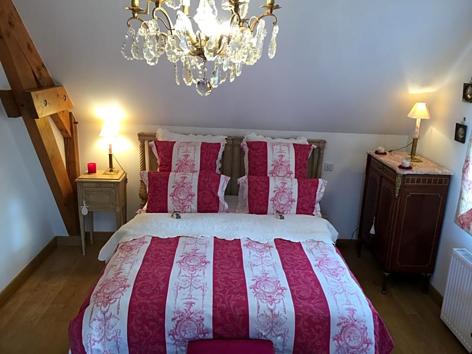 Les Prémices De La Forêt