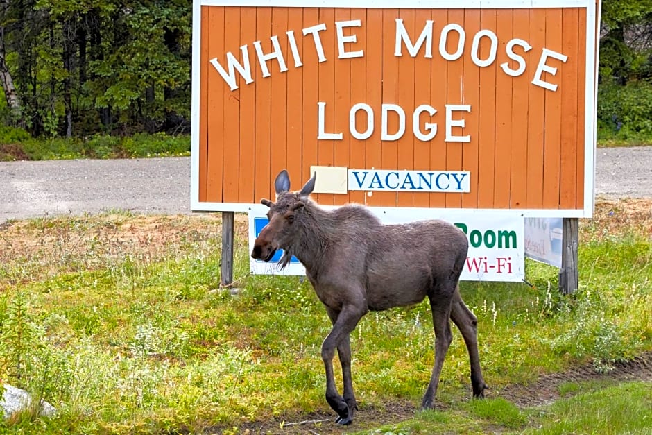 White Moose Lodge