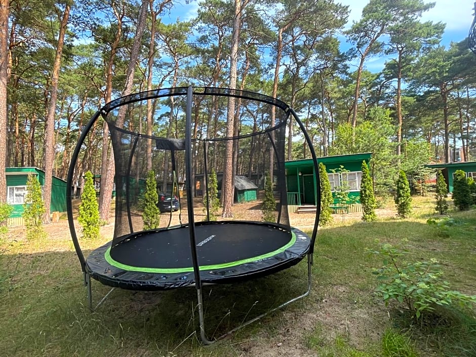 Domki letniskowe Delfin