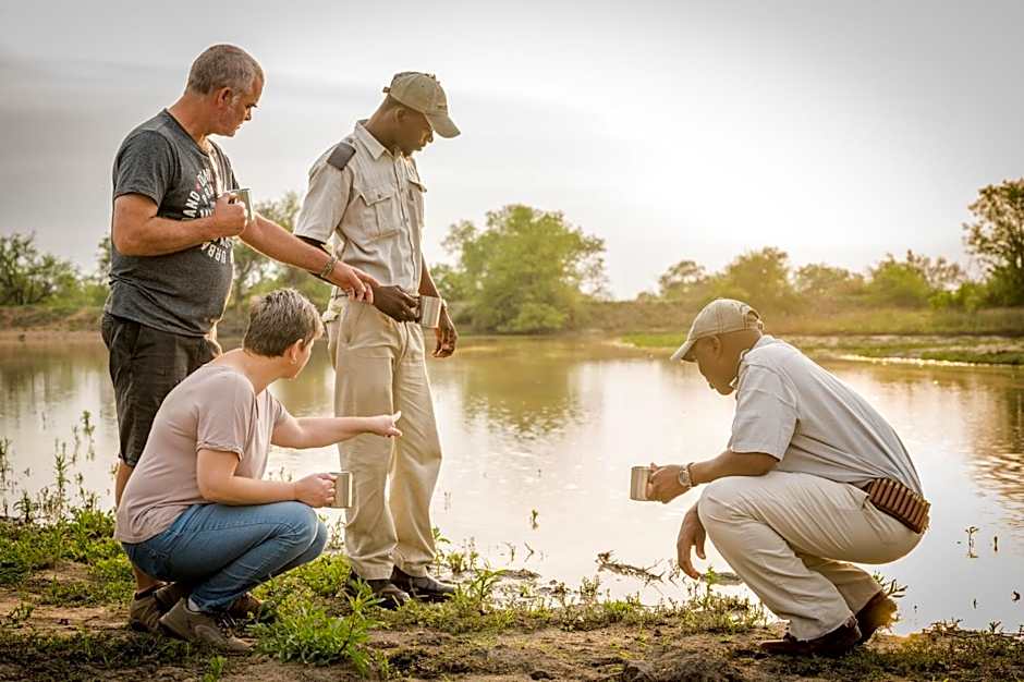 Kambaku Safari Lodge