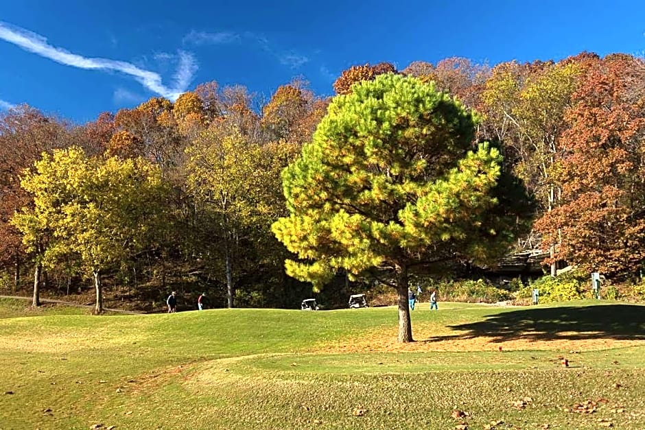 The Greens II At Bella Vista Village