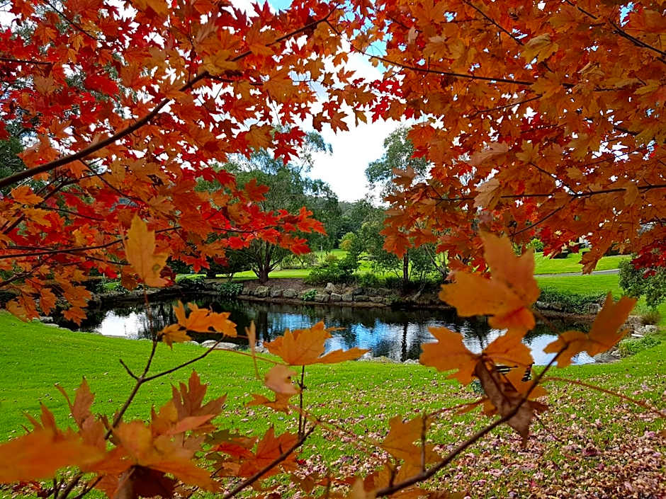 The Drawing Rooms of Berry