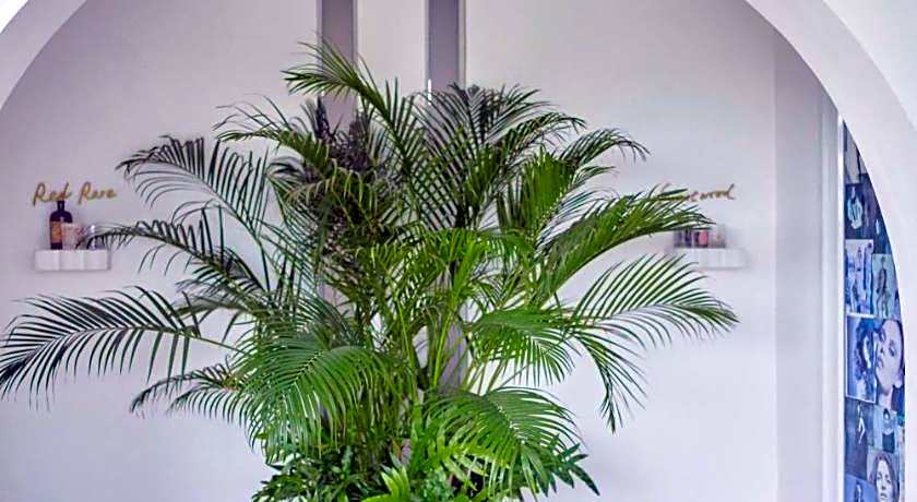 Casapapa Home and Space