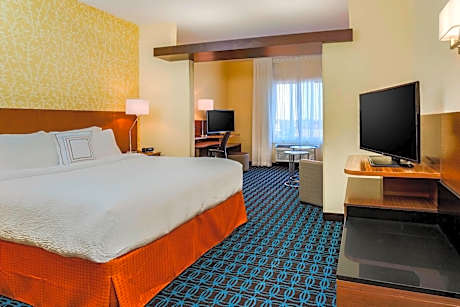 Suite, 1 King, Sofa bed