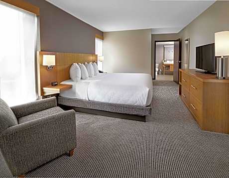 1 King Bed
