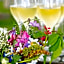 SCHLOSS RANZOW - kleines Romantik Hotel - Wellness - Golfplatz - Hochzeiten & Feiern