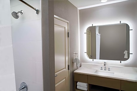 1 King Bed 1 Bedroom Suite