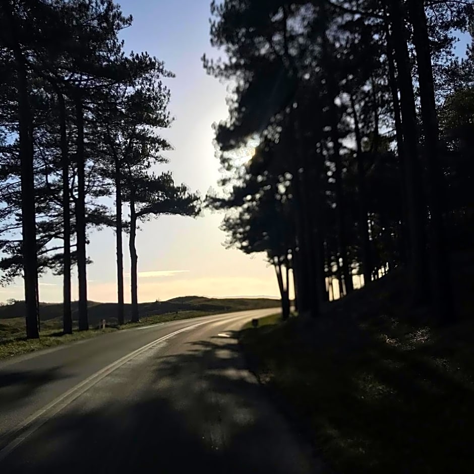 Loft aan Zee Bergen- Schoorl