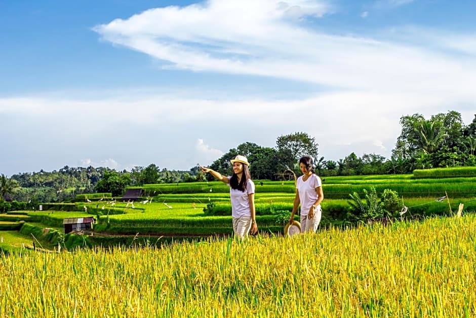 Kebun Kita Eco Lodge