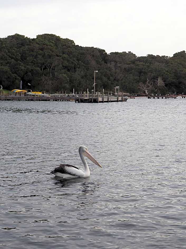 Augusta Sheoak Chalets