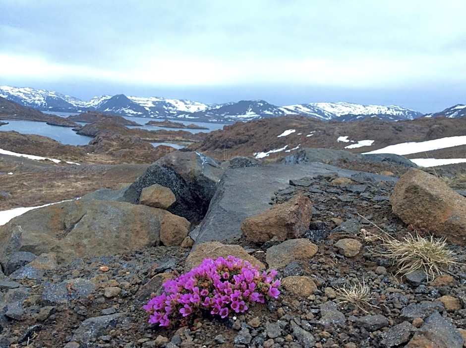 Hotel Repvåg
