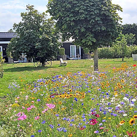 B&B Buutegeweun