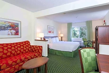 1 King Bed Non-Smoking