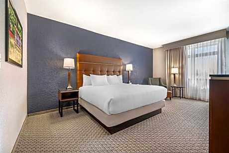 Deluxe King Room – High Floor