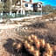 WorldMark Phoenix South Mountain Preserve