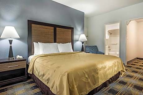1 King Bed, Nonsmoking, Upgrade
