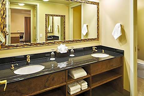 Room, 1 King Bed, Tower (Mobility Accessible, Roll-In Shower) (1 King Bed)