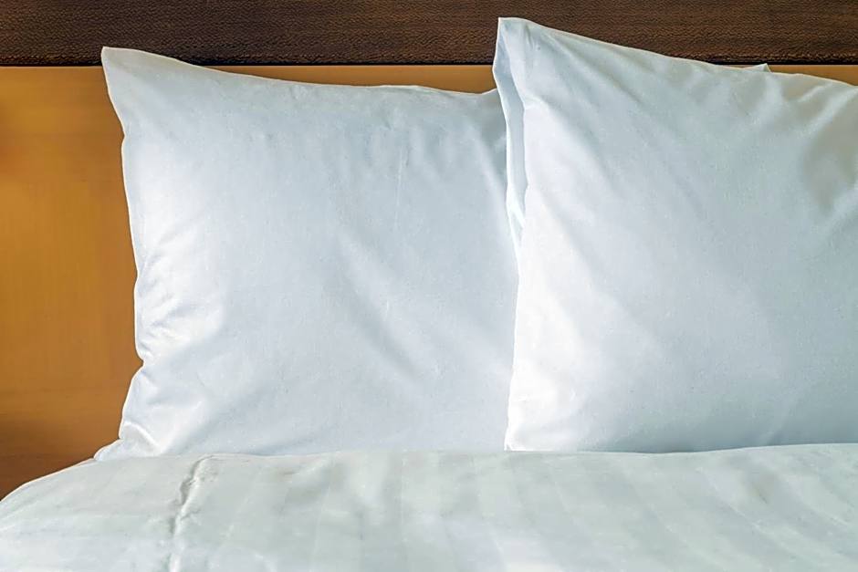 Garner Hotel Auburn - Seattle By IHG