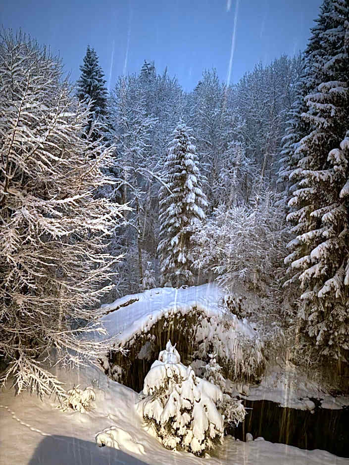 Le Moulin des Olirics