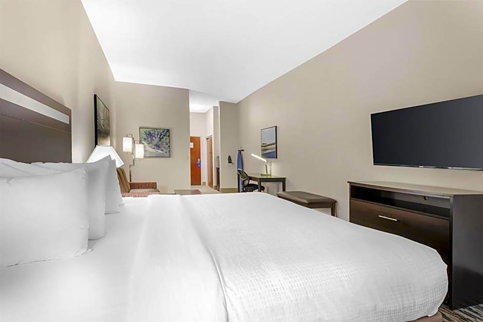 Best Western Plus McDonough Inn & Suites