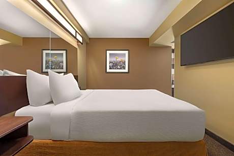 1 Queen Bed, 1-Bedroom Suite, Sitting Area, Non-Smoking