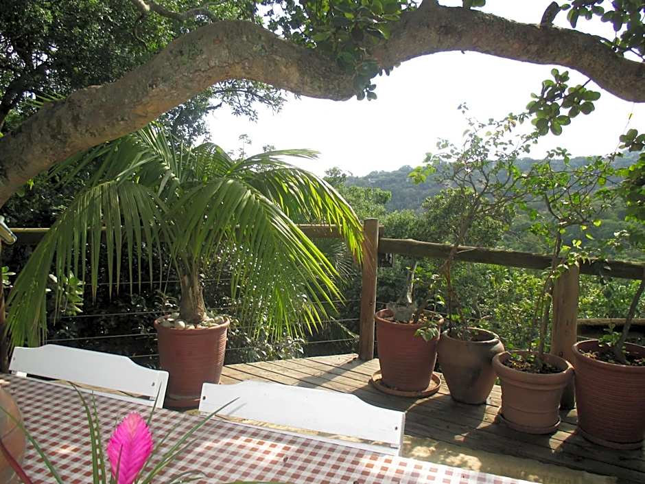 Utopia in Africa Guest Villa