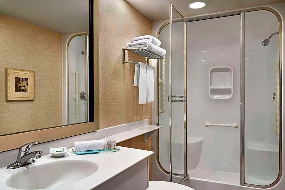 Royal Hotel West Edmonton, Trademark Collection by Wyndham