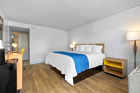 1 King Bed Non-Smoking
