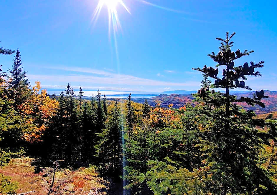 Auberge de la rive de Charlevoix - Auberge familiale pour voyageurs de tous âges