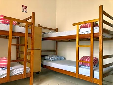 Bunk Bed in Mixed Dormitory Room