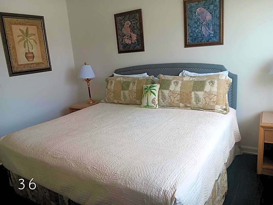 The Cozy Inn
