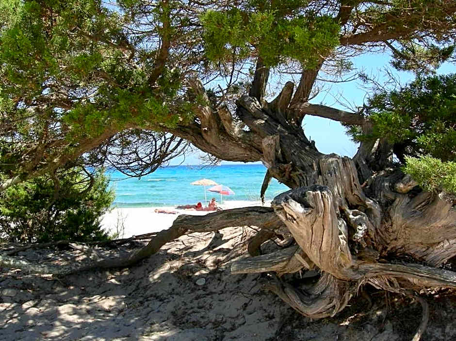 Residence con piscina a Tanaunella a 1500 m dal mare