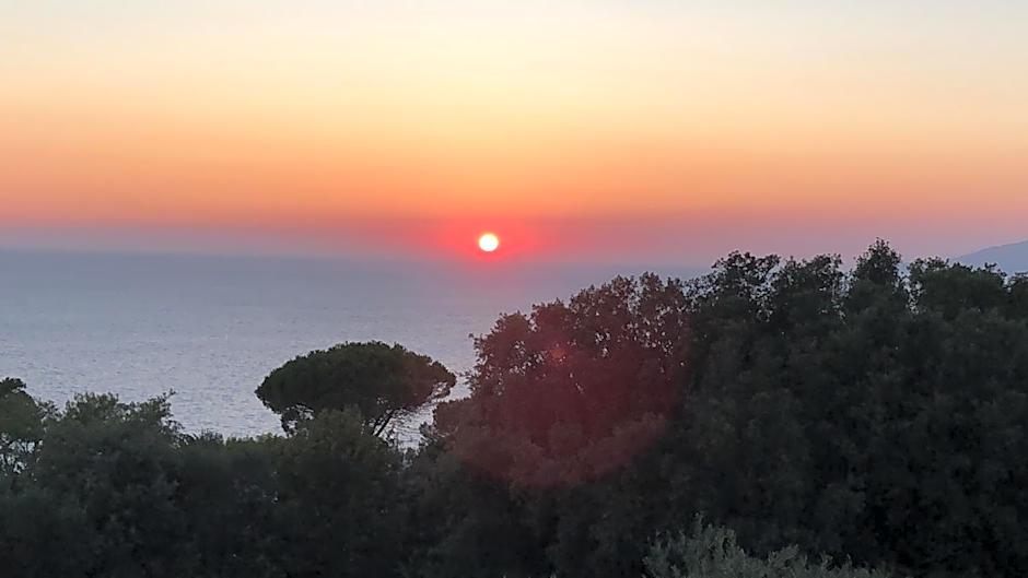 La Draghina B&B Capri