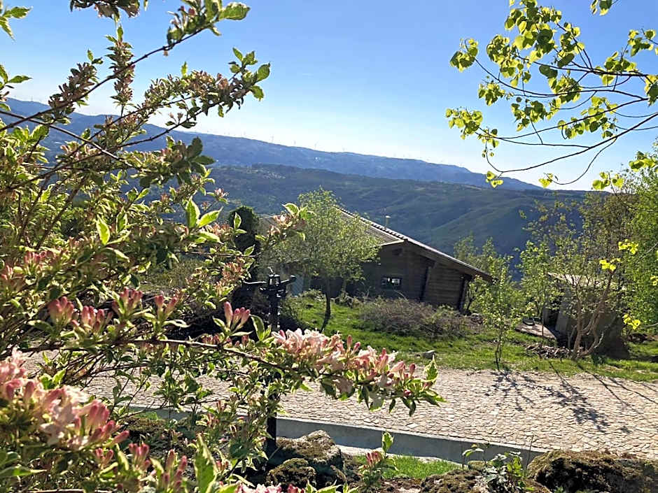 Mountain Log Cabin O Lobo