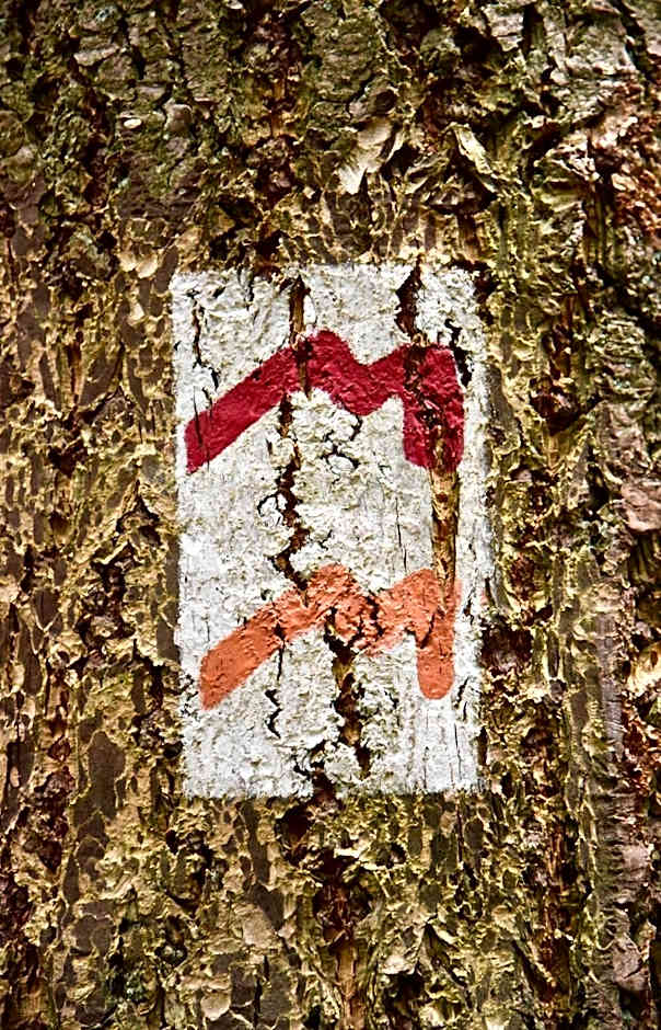 Hotel Auberge Rustique