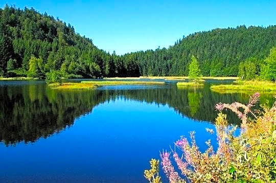 Le Grand Hotel & Spa